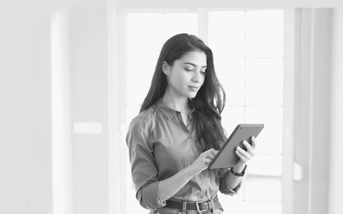 Lyntarivosa Webinar in Aktion